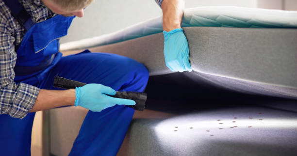 Pest Prevention Services in Alpine, UT