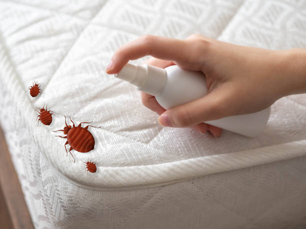 Pest Control Cost in Alpine, UT