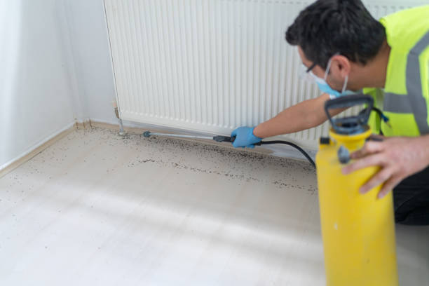 Professional Pest Control in Alpine, UT