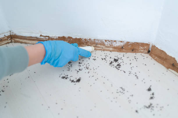 Best Pest Prevention Services  in Alpine, UT