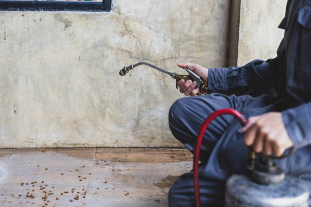 Best Exterminator Services  in Alpine, UT